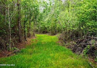 0 Maules Point Rd, Blounts Creek, NC 27814