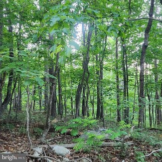 Lot C7 Pattys Place, Luray, VA 22835