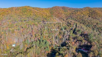 299 Morton Rd, Hampton, TN 37658