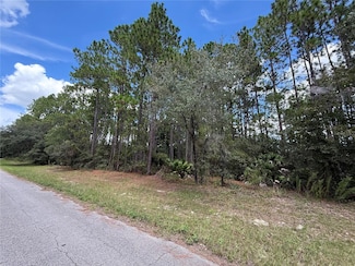 TBD SW 80th Ct, Ocala, FL 34473