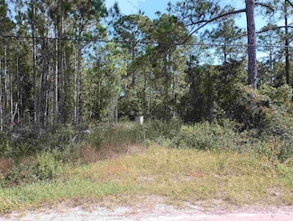 10520 Beckenger Ave, Hastings, FL 32145