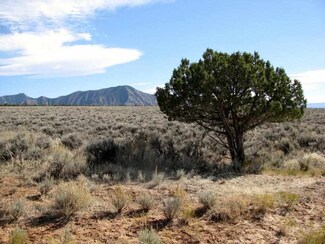 4270 V 5 10 Rd, de Beque, CO 81630