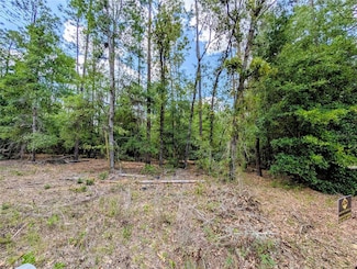 TBD SW 93rd Ln, Dunnellon, FL 34431
