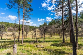 0 Tbd Tracker's Trail, Keystone, SD 57751