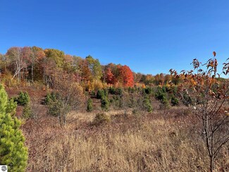 A5 E Kasson Rd Unit A5, Maple City, MI 49664