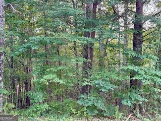 0 Gilreath Mill Rd Unit 10570910, Menlo, GA 30731