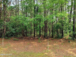 1 Myrtle Rd, Roseboro, NC 28382