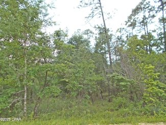 Lot 7 Castle Cir, Alford, FL 32420