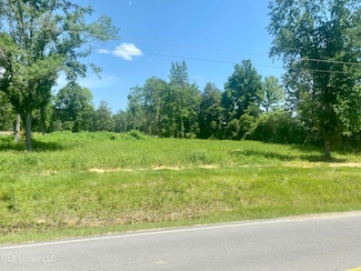 None Hall St, Wiggins, MS 39577