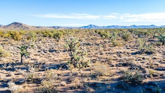 0 S Bonanza Rd Unit 1033345, Yucca, AZ 86438