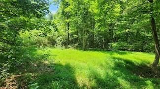 134 Cicero Trail, Dawsonville, GA 30534