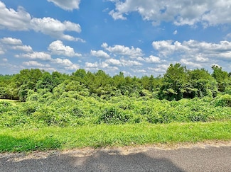0 Alabama Ave NE Unit 523013, Hanceville, AL 35077