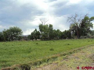 TBD Wildwood Dr, Fruita, CO 81521