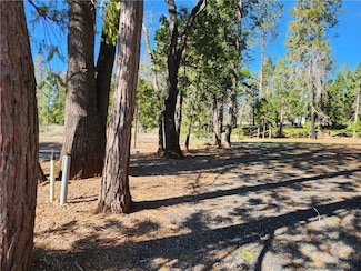 13705 Endicot Cir, Magalia, CA 95954