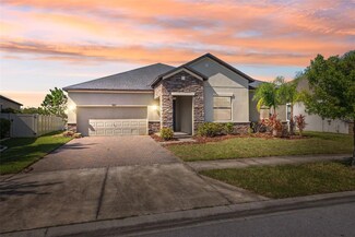 8025 Roma Dune Dr, Wesley Chapel, FL 33545