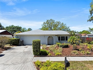 7746 Jodi Lynn Dr, Tampa, FL 33615
