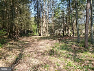 0 N Foster Rd Unit 1000843100, Needmore, PA 17238