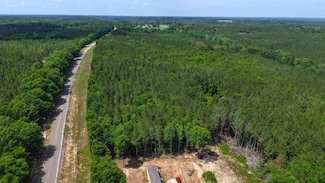 0 Live Oak Rd, Luverne, AL 36049