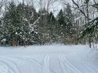 0 Vl Kenyon Trail, Frederic, MI 49733