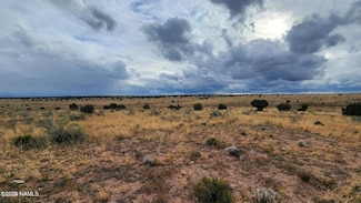 8381 W Shingle Oak Ln, Williams, AZ 86046