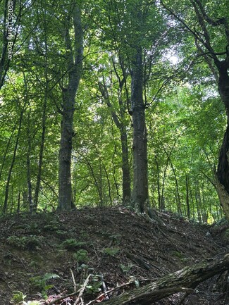 0 Gap Knob Rd Unit 1690115, New Haven, KY 40051