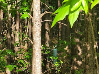 7134 Browns Mill Rd, Lithonia, GA 30038