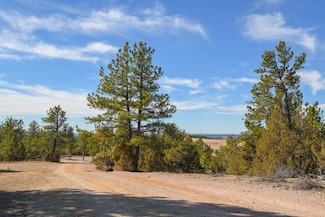 TBD Remington Rd, West Custer, SD 57747