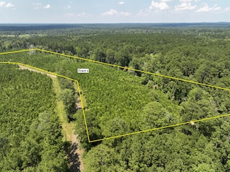 03 Fire Tower Dr, Hemphill, TX 75948