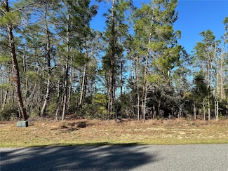 0000 SW 157th St, Ocala, FL 34473