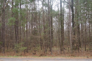 1075 Pine Cove Dr, Terry, MS 39170