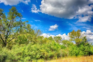 TBD Windy Oaks, Huntsville, TX 77320