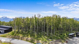 4686 S Teton Cir, Knik-Fairview, AK 99654