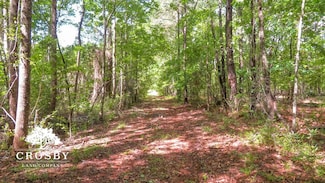 0 Windsor Rd, Springfield, SC 29146