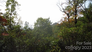 Lot 40 the Knoll None, Bryson City, NC 28713