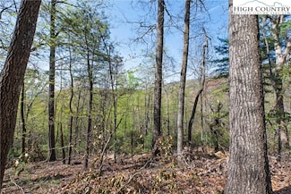 TBD Bear Track Ln, Lenoir, NC 28645