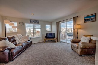 28 Spyglass Ln Unit 28, Silverthorne, CO 80498