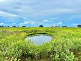 TBD Tract 105 Pintail Ln, Columbus, TX 78934