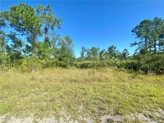 2178 Winnetka Dr, Lehigh Acres, FL 33972