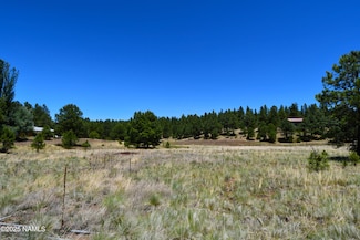 1539 Homestead Rd, Flagstaff, AZ 86001
