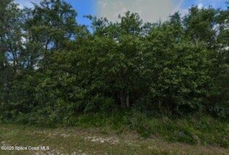 303 Dogfish Way, Poinciana, FL 34759