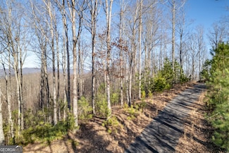 Lot 89 Thirteen Hundred Unit 89, Blairsville, GA 30512