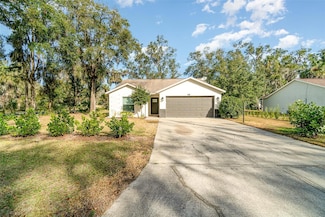 701 Grant Ave, Mount Dora, FL 32757