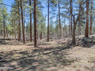 1642 Canyon View Loop, Williams, AZ 86046