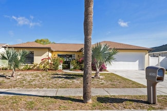 7231 Arbor View Ln, New Port Richey, FL 34653
