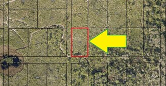 00000 No Access Puddle Duck Ln, Malabar, FL 32950