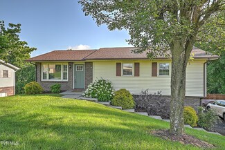 360 Ashley Dr, Bristol, VA 24201