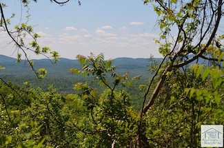 00 TBD Woods Gap Rd, Woolwine, VA 24185