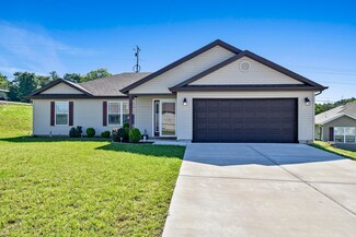 115 Dragonfly Ln, Scott Township, MO 65616