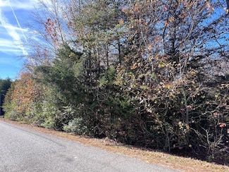 00 Williams Trail, Halifax, VA 24558