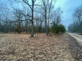 Parcel B N Mac Rd, Irons, MI 49644